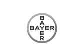 6.Bayer