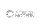 American Modern