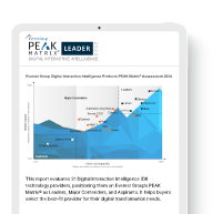 DII PEAK Matrix 2024