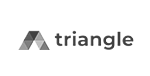 Triangle-CS-Ltd._logo
